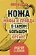 Главные органы человека: большая книга о здоровье - фото 4