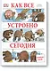 Как все устроено сегодня - фото 1