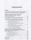 Системный анализ инвестиционной деятельности: учебное пособие - фото 2