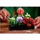 LEGO Botanical Collection: Суккуленты, 771 деталь (10309) - фото 4