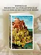 Путь через века. Кн. 2. Врата небесные - фото 4