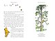 Winnie the Pooh Classic edition - фото 3