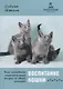 Воспитание кошки. Как наладить гармоничную жизнь со своей кошкой - фото 1