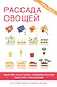 Рассада овощей - фото 1