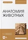 Анатомия животных. Учебное пособие для вузов (+ электронное приложение) - фото 1
