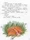 Филька и компания - фото 5