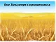 Хлеб - всему голова. 4-6 лет. Демонстрационный материал для занятий в группах детских садов и индивидуально - фото 3