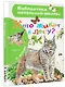 Кто живёт в лесу? - фото 3
