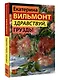 Здравствуй, груздь! - фото 3