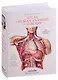 Atlas of Human Anatomy and Surgery - фото 1