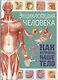 Энциклопедия человека. Как устроено наше тело - фото 1