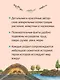 Животные и растения рек, озёр и морей. BIObook А. Толмачёва - фото 6