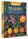 Травник. Большая энциклопедия лекарственных растений - фото 3