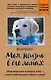 Моя жизнь в его лапах. Удивительная история Теда – самой заботливой собаки в мире (покет) - фото 1