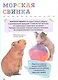 Домашние питомцы - фото 6