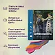 Импрессионисты. Рассказы о художниках и картинах - фото 4