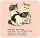 Котята - фото 10
