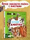 Животные - фото 3