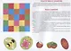 Аппликация. Занятия дома и в детском саду. 4-5 лет. Выпуск 1 - фото 3