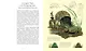 После человека. Зоология будущего - фото 3