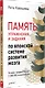 Память. Упражнения и задания по японской системе развития мозга - фото 2