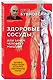 Здоровые сосуды, или Зачем человеку мышцы? 2-е издание - фото 3