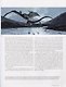 Harry Potter. Film Vault. Volume 1. Forest, Lake and Sky Creatures - фото 2