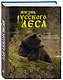 Жизнь русского леса (издание дополненное и переработанное) (медведь) - фото 3