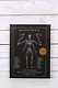 Воскреситель, или Анатомия фантастических существ: Утерянный труд доктора Спенсера Блэка - фото 6