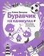 Буравчик на каникулах. Виртуальные приключения в летнем лагере - фото 1