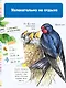 Птицы - фото 8