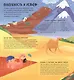 Энциклопедия почемучки. Книжка с окошками. Планета Земля - фото 6