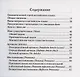 Английский язык. 9-11 классы. Карманный справочник - фото 2