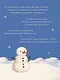 Снежная ловушка мистера Куина (#1) - фото 5