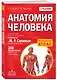 Анатомия человека: 2 издание - фото 3