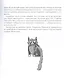 Правило левой ноги. Фантастическая история о городе Петербурге, реке Фонтанке... - фото 6