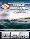 Первые миноносцы Франции. "Ночные разбойники" Третьей республики - фото 1