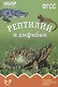 Рептилии и амфибии. Наглядно-дидактическое пособие. ФГОС - фото 1