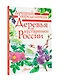 Деревья и кустарники России. Определитель - фото 4