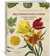 Выдающиеся растения, которые изменили нашу жизнь - фото 3