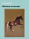 Обложка для паспорта George Stubbs Whistlejacket - фото 1
