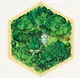 Настольная игра «Колонизаторы Catan» (2025) - фото 10