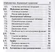 Информатика. Карманный справочник. 9–11 классы - фото 4