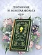 Вечера на Карповке - фото 5