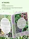 Аптечный огород. Справочник по сбору, хранению и применению целебных растений (новое оформление) - фото 7