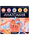 Анатомия. Книжка-панорамка - фото 1