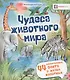 Чудеса животного мира. 44 удивительных факта о жизни животных - фото 1