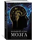 Большой атлас мозга - фото 2