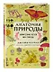 Анатомия природы. Занимательные детали мира природы - фото 3