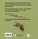 Котёнок и весна + Котёнок и лето. Комплект из 2-х книг - фото 6